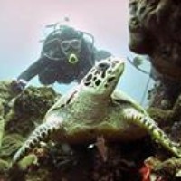 Profile Picture of Jonathan Chan (@jonathan-chan-49) on Quora