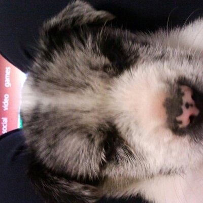 Kevin Thedford - Twitter Profile Picture of Kevin Thedford (@kthedford25) on Twitter