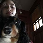 Profile Picture of LeAnne Stokes (@little_wolf_pack_38) on Instagram
