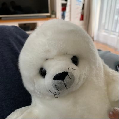 Profile Picture of DannySeal (@DannySeal3) on Twitter