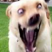 Profile Picture of  (;-;Giselle Colon) (@GiselleColon-se9cr) on Youtube