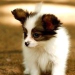 Profile Picture of Athena Gibbs (@athena9945) on Instagram