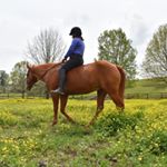 Profile Picture of Katherine + Chase (@eventingchase) on Instagram