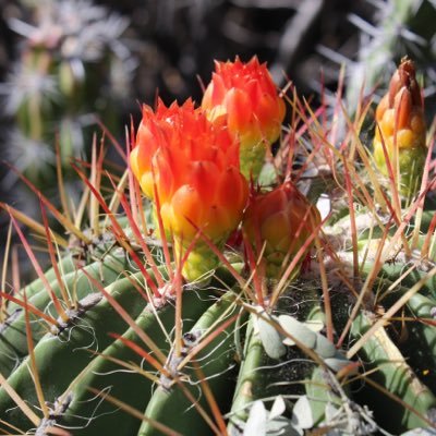 Profile Picture of Sofie Phillips (@sofiephilllips) on Twitter