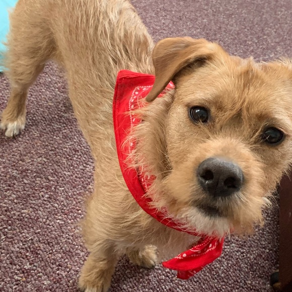 Profile Picture of Alex Caruso (@alex147c) on Poshmark