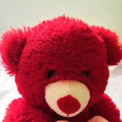 Profile Picture of Lucas Boe (@LucasBoe2) on Twitter