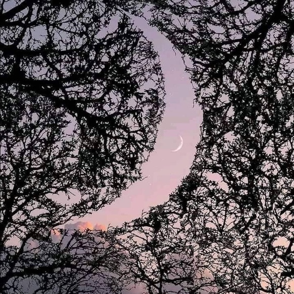 Profile Picture of Adrianna Phillips (@adriana308) on Poshmark