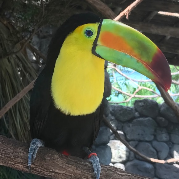 Profile Picture of Blake Baylor (@plant4321s) on Poshmark