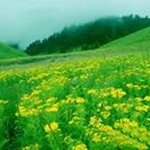 Albert Nolan - Instagram Profile Picture of Albert Nolan (@albertnolan) on Instagram