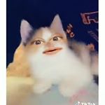 Profile Picture of Odo Kentang ( Fanbase ) 🇲🇨 (@odo.kentang) on Instagram