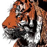 Profile Picture of Dwayne Middleton (@bootcheese3000) on Instagram