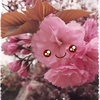 Profile Picture of Chun Hsieh (@@2180289571) on Tiktok