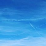 Profile Picture of Sonja hawk (@hawk.sonja) on Instagram