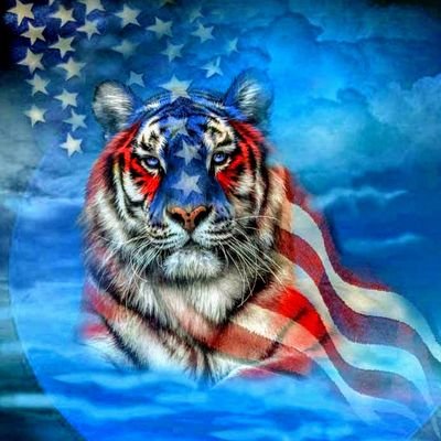 Profile Picture of Sifu Paul Koh (@SifuPaulKoh) on Twitter