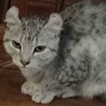 Profile Picture of Shelly Foust (@foustshelly) on Instagram