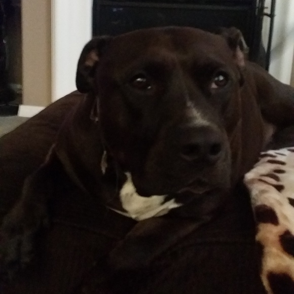 Alexandria Vides - Poshmark Profile Picture of Alexandria Vides (@alexandriavides) on Poshmark