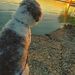 Profile Picture of Danielle Hocker (@avehocker) on Pinterest