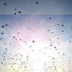 Profile Picture of Денис Лолин (@lubluteryatparoli) on Instagram