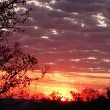 Profile Picture of Herbert Reis (@herbert_bruce) on Twitter