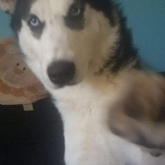 Profile Picture of Michael Hacky (@michaelhacky) on Tiktok