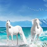 Profile Picture of David Lafosse (@davidlafosse777) on Instagram