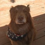 Profile Picture of Brandon Pitlock (@pitlockbrandon) on Instagram