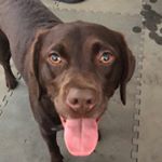 Profile Picture of Daniel Larcey (@daniellarcey) on Instagram