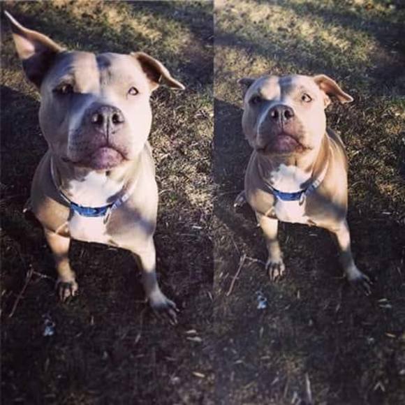 Profile Picture of Ethan Maulson (@budsbuddy838) on Poshmark