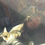 Profile Picture of Jimmy Sinclair (@jimmy.sinclair.54) on Instagram