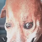 Profile Picture of Marshall Rhodes (@marshall.rhodes.257380) on Facebook