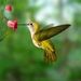 Profile Picture of JoAnn Tolbert (@joanntolbert) on Pinterest