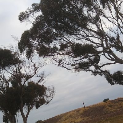 Profile Picture of Mark Strate (@mark_strate) on Twitter