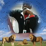 Profile Picture of Steven Scroggins (@steven.scroggins) on Instagram