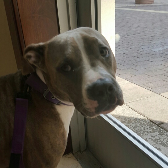 Profile Picture of Jon Laydon (@laydojo) on Poshmark