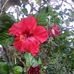 Profile Picture of Albert Clary (@albert.clary.902) on Facebook