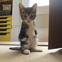 Profile Picture of Kyle Lowden (@kyle-lowden) on Quora