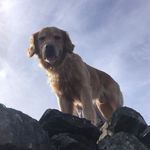 Profile Picture of Eric Ames and Mr. Bug (@eric_ames_) on Instagram