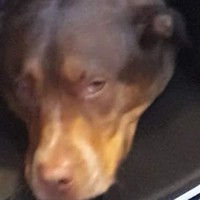 Profile Picture of Ian Atkin (@ian-atkin-9) on Quora