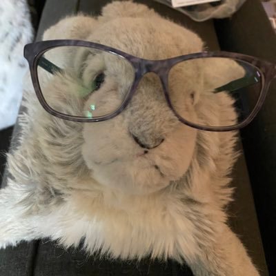 Profile Picture of Joni Johnson (@EduRamblings) on Twitter