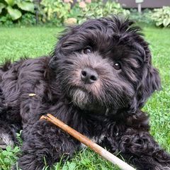 Profile Picture of Mark Leaper (@mark.leaper) on Tiktok