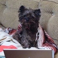 Profile Picture of Trish King (@trish-king-8) on Quora