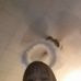 Profile Picture of Kaye Hester (@kaye.hester.12) on Facebook