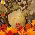 Profile Picture of Janet Annis Burka (@annisburka) on Instagram