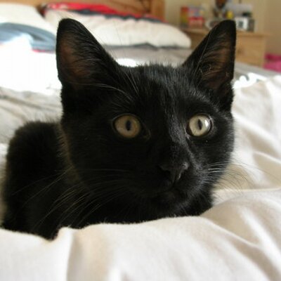 Profile Picture of Michelle Barry (@MichyHell) on Twitter