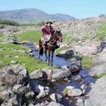 Profile Picture of luis abarca (@abarca260) on Instagram