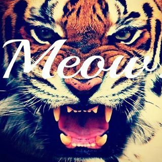 Profile Picture of Amanda Schultz (@Amanda-Schultz) on Facebook