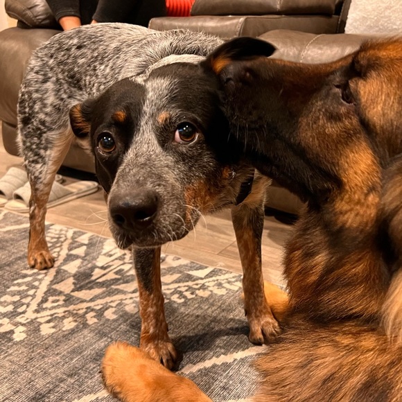 Profile Picture of David March (@wallace500) on Poshmark