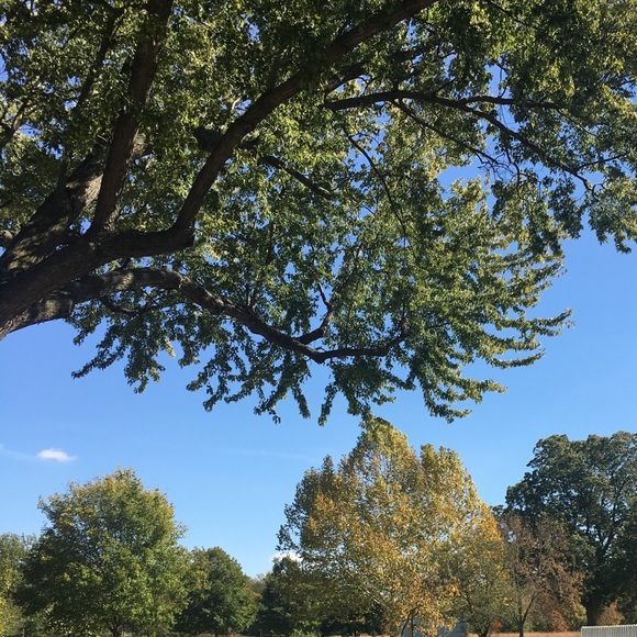 Profile Picture of Judy Wallowicz (@424692) on Poshmark