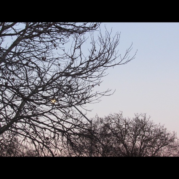 Profile Picture of Hailey Loechler (@haihead) on Poshmark