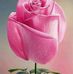 Profile Picture of Nathalie Montes (@nathalie.montes.315) on Facebook